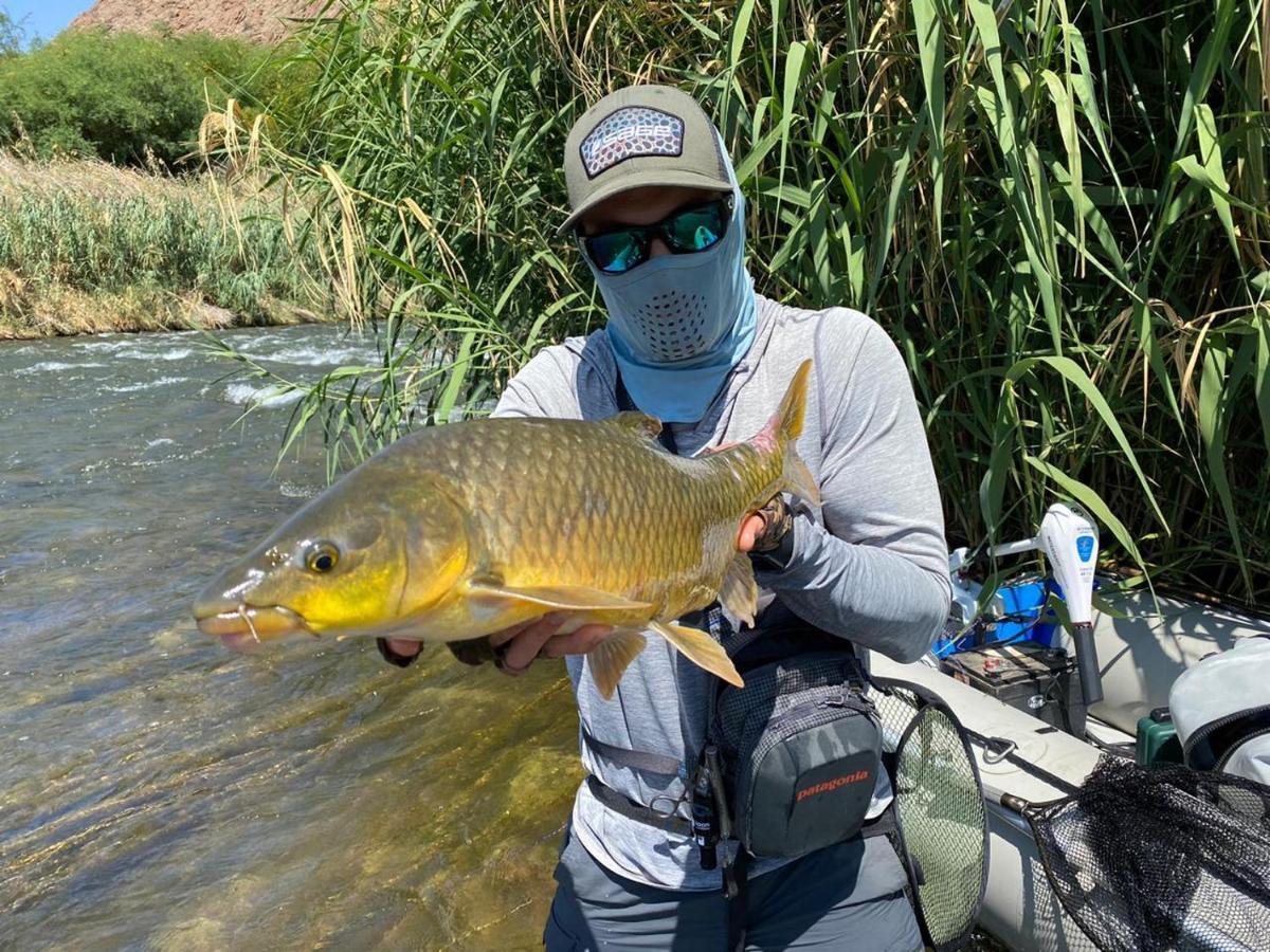 Augrabies Plato Lodge מראה חיצוני תמונה