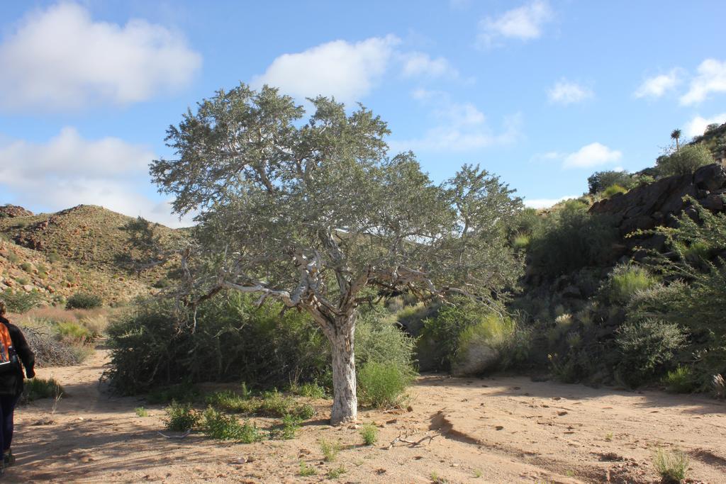 Augrabies Plato Lodge מראה חיצוני תמונה